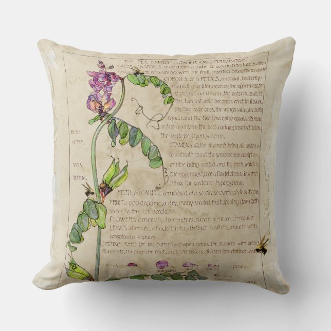 Ephemera Sweet Pea Cushion (Front)