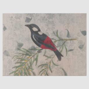 Ephemeral Birds Series Design Fifteen Tissue Paper