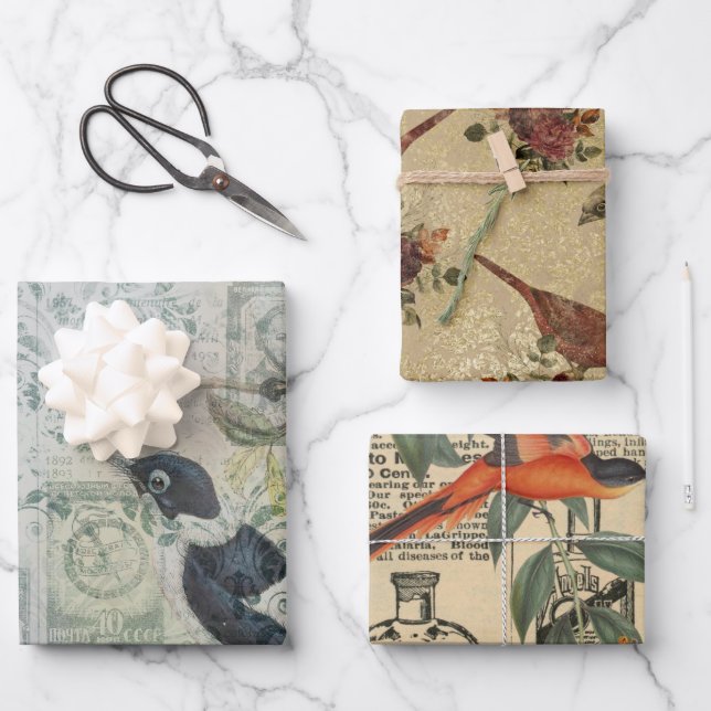 Ephemeral Birds Series Design Two Wrapping Paper Sheet (Front)