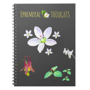 Ephemeral Thoughts Blank Notebook