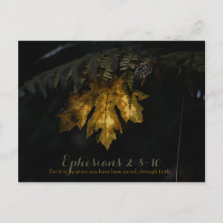 Ephesians Postcard