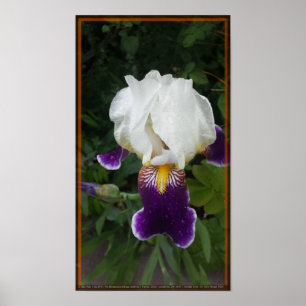 Epic Flower 3 Poster