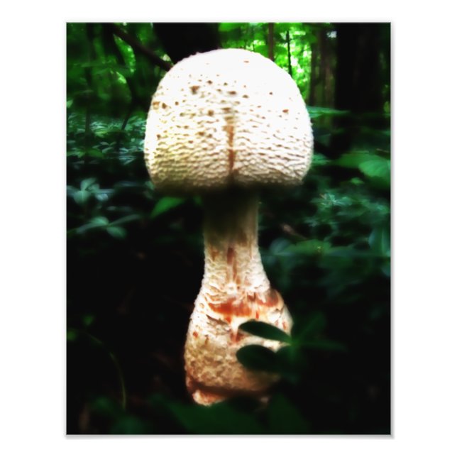 Epic Mushroom Photo Print (Front)