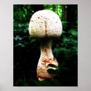 Epic Mushroom Poster