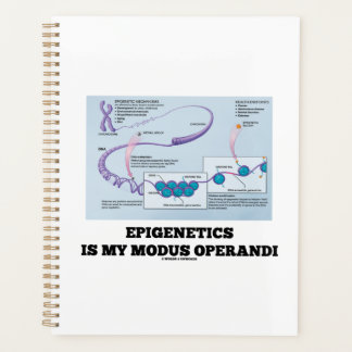 Epigenetics Is My Modus Operandi Mechanisms Planner