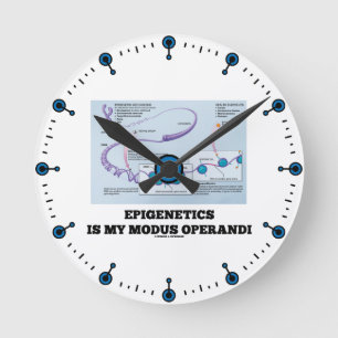 Epigenetics Is My Modus Operandi (Mechanisms) Round Clock