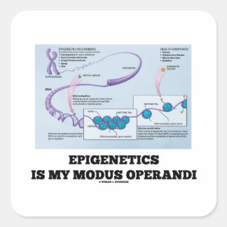 Epigenetics Is My Modus Operandi (Mechanisms) Square Sticker
