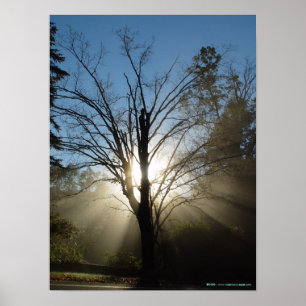 Epiphany Tree Poster