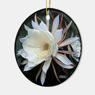 Epiphyte Cactus Flower Ceramic Tree Decoration