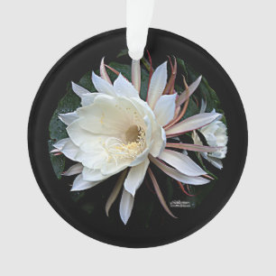 Epiphyte Cactus Flower Ornament