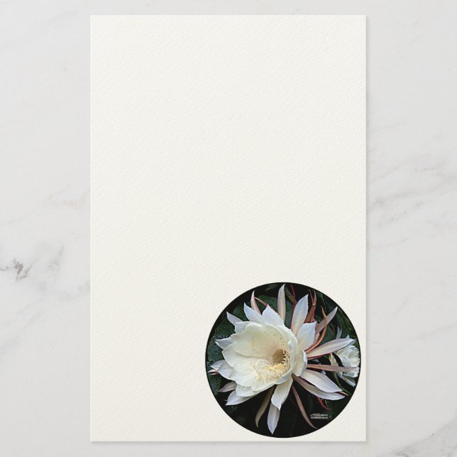Epiphyte Cactus Flower Stationery (Front)