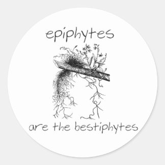 Epiphytes are the bestiphytes classic round sticker
