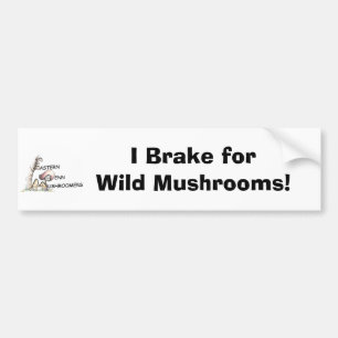 EPM Logo Bumper Sticker