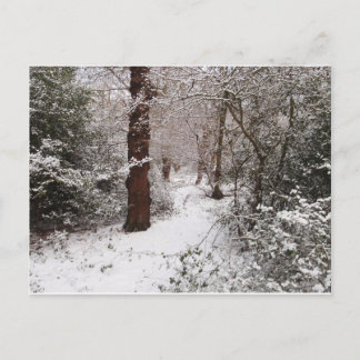 Epping Forest in the snow. Postcard