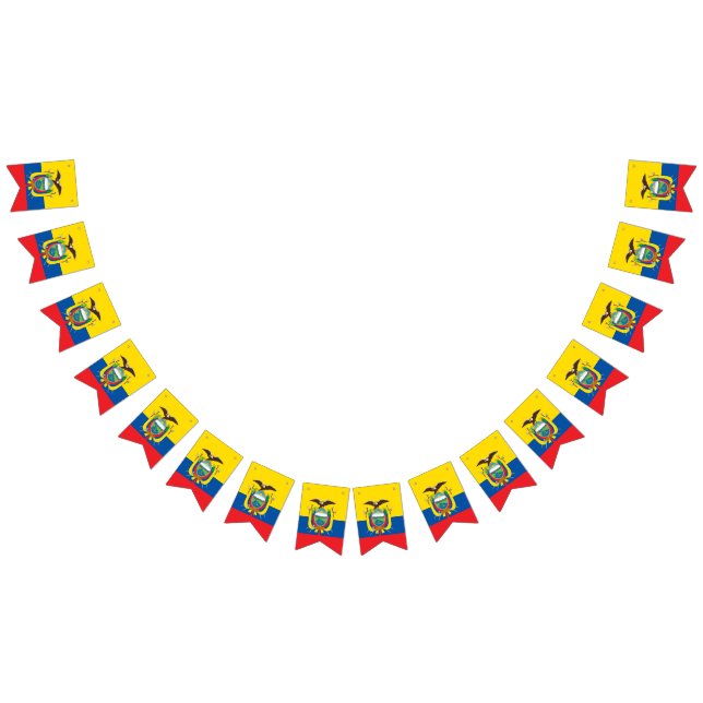 Equador flag bunting banner (All)