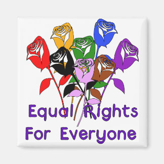 Equal Rights Magnet