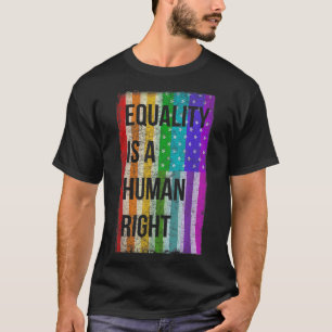 Equality Is A Human Right American Flag Gay Pride T-Shirt