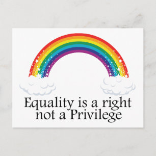 Equality is a right not a privilege postcard