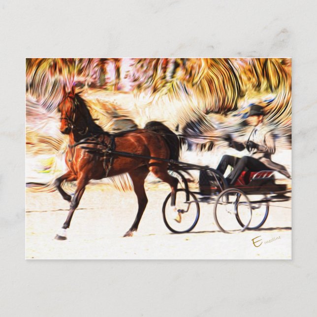 Equestrian | Flames Postcard (Front)