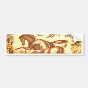 Equestrian Horse Bumper Sticker