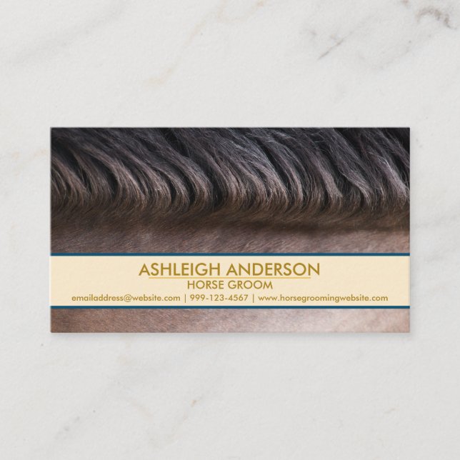 Equestrian Horse Groomer Big Photo Minimal Business Card (Front)