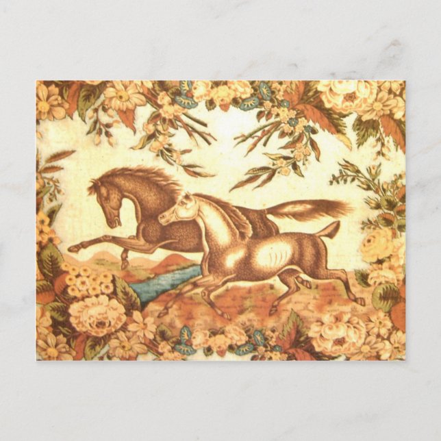 Equestrian Horse Postcard 2 (Front)