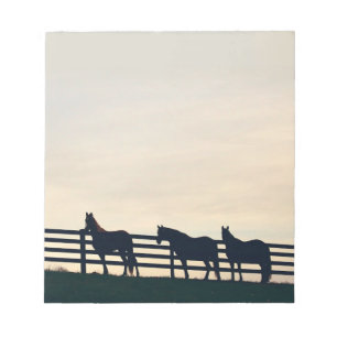 Equestrian Horses at the Pasture Fence Notepad