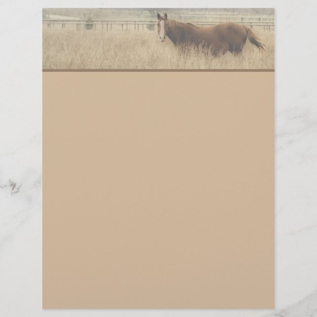 Equestrian Letterhead (Front)