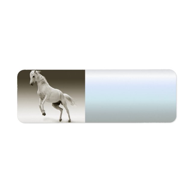 Equestrian White Mare Horse (Front)