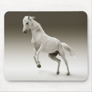 Equestrian White Mare Horse Mouse Mat