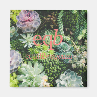 equilibreyaum magnet