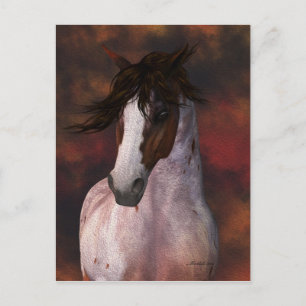 Equine Art, Horse Postcard