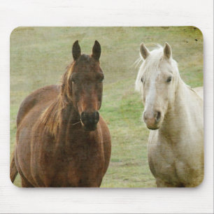 Equine Buddies Mouse Mat