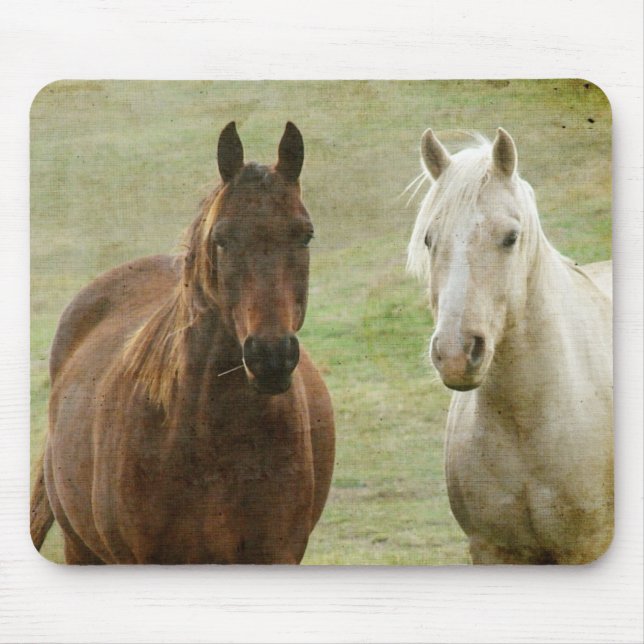 Equine Buddies Mouse Mat (Front)