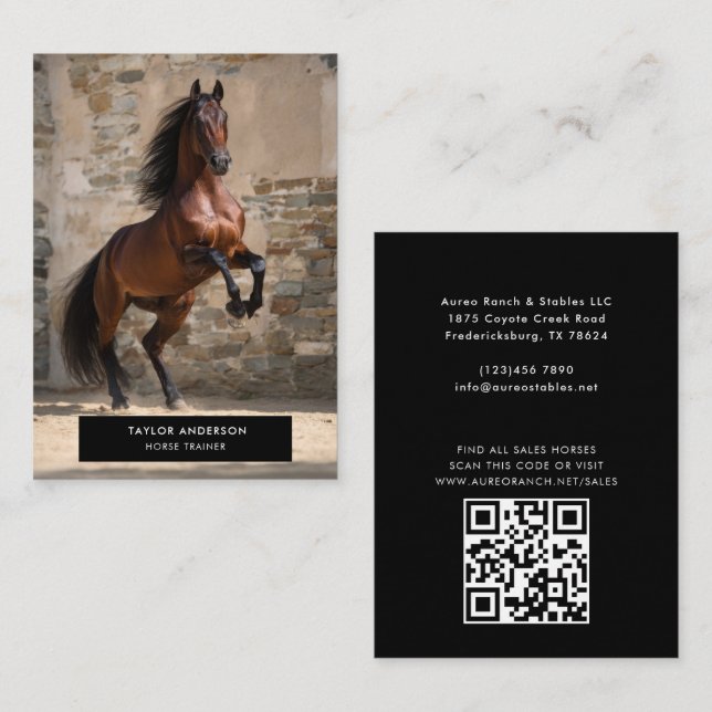 Equine Business Horse Trainer Equestrian Photo Business Card (Front/Back)