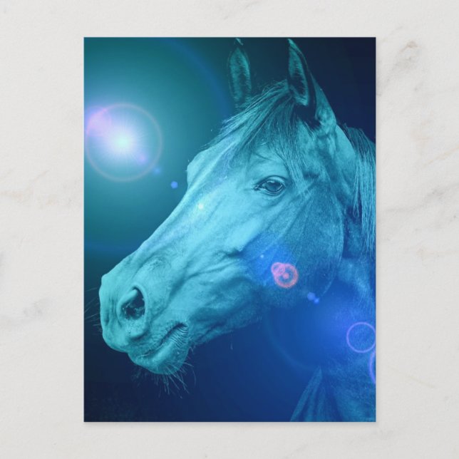 Equine Designs Postcard (Front)