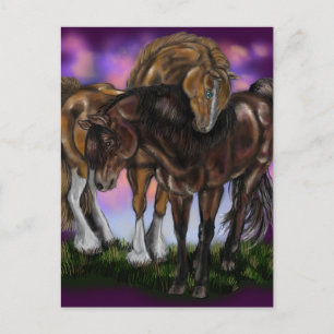 Equine Devotion~valentine postcard