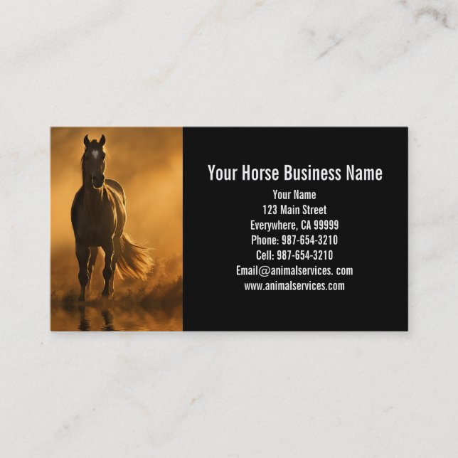 Equine Horse Boarding Lessons Vet Business Business Card (Front)