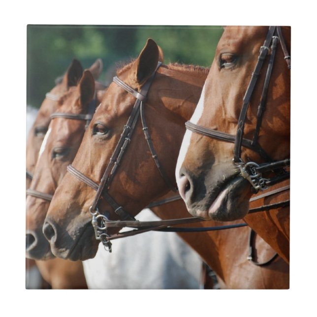 Equine Horse Show Tile (Front)