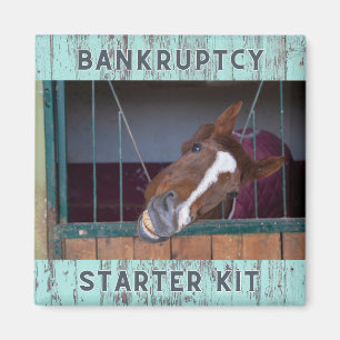 Equine Love: Bankruptcy Starter Kit Magnet