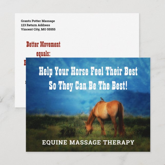 Equine Massage Therapist Horse Business Mailer Postcard (Front/Back)