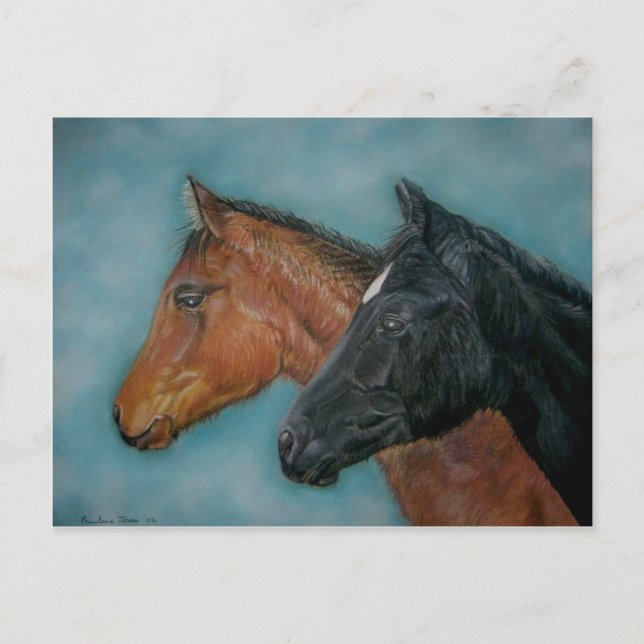 equine picture of two very cute baby horses postcard (Front)