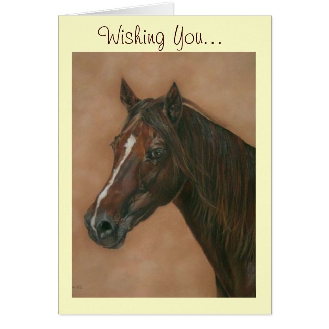 equine portrait of chestnut mare brown horse (Front)