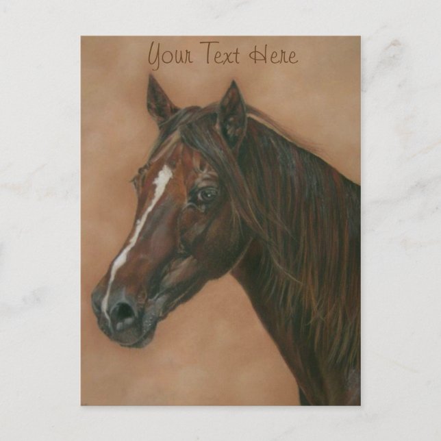 equine portrait of chestnut mare brown horse postcard (Front)