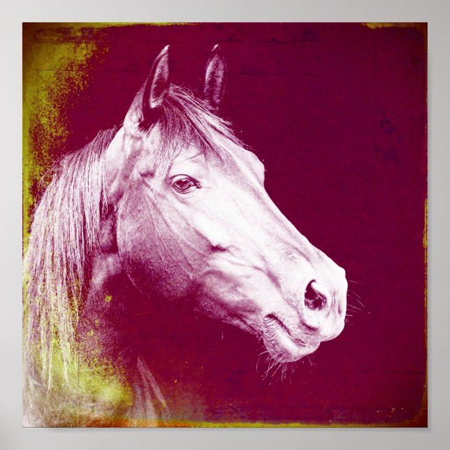 Equine Poster (Front)