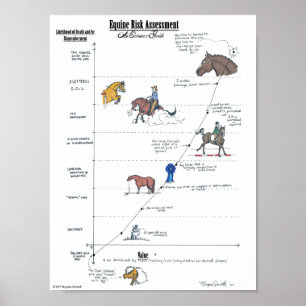 Equine Risk Assessment Mini-Poster Poster