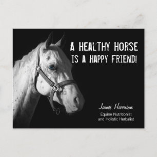 Equine Specialist for Horse Business Clients Postc Postcard