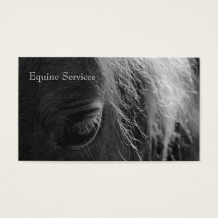 Equine Up Close