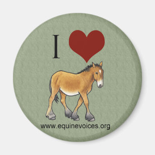 Equine Voices I Love Gulliver Green Magnet