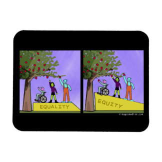 Equity vs Equality Magnet